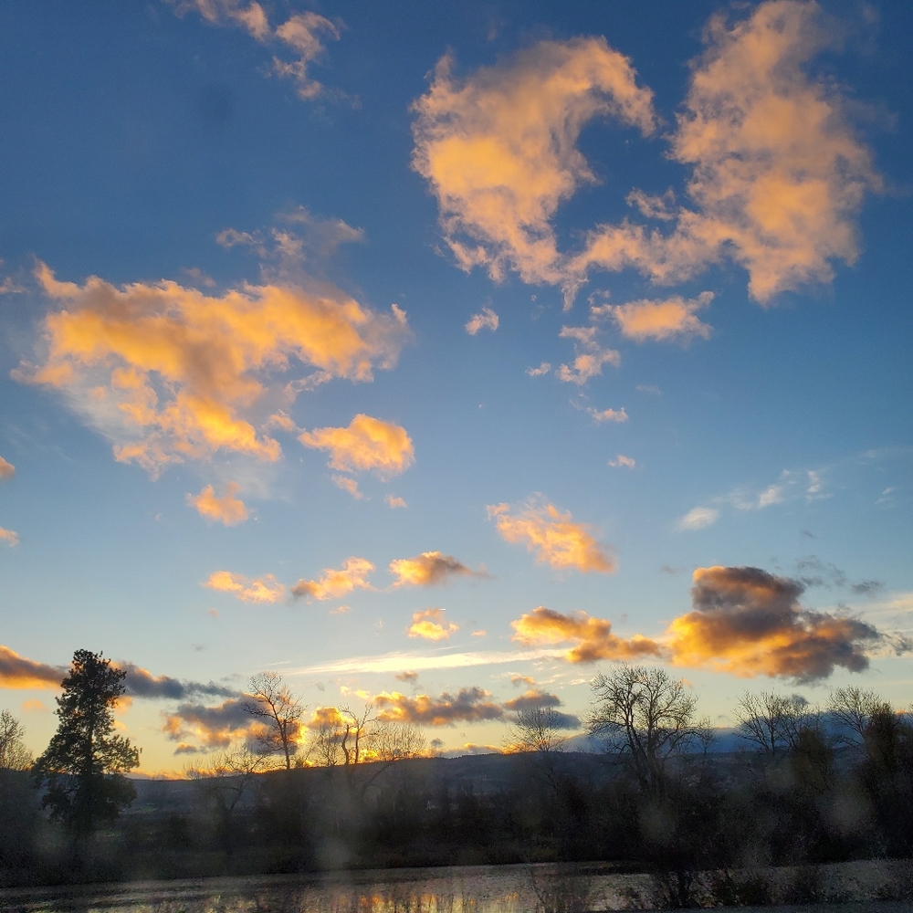 Meet your Posher, Zoe